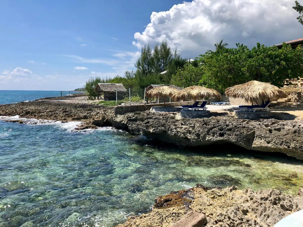 The Westender Inn Negril